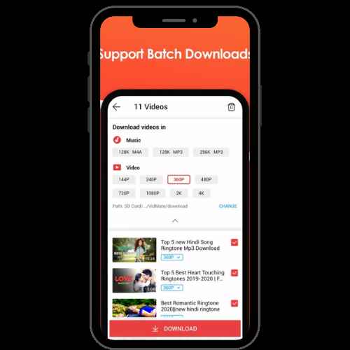 Format and Quality Options